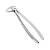 Щипцы для удаления зубов нижние, премоляры (11-13) | HLW Dental Instruments (Германия)