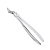 Щипцы для удаления зубов верхние, корневые (11-51K) | HLW Dental Instruments (Германия)